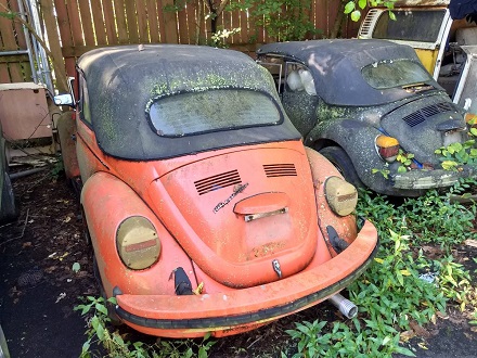 restore an old Volkswagen Beetle