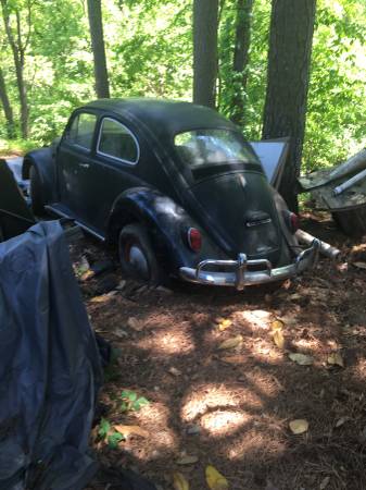 restore an old Volkswagen Beetle